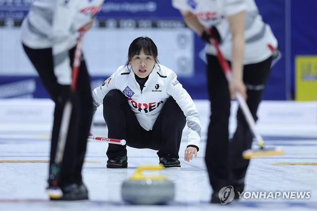 对于申东浩, 会会长期间, 私有化 对于申东浩, 会会长期间, 私有化