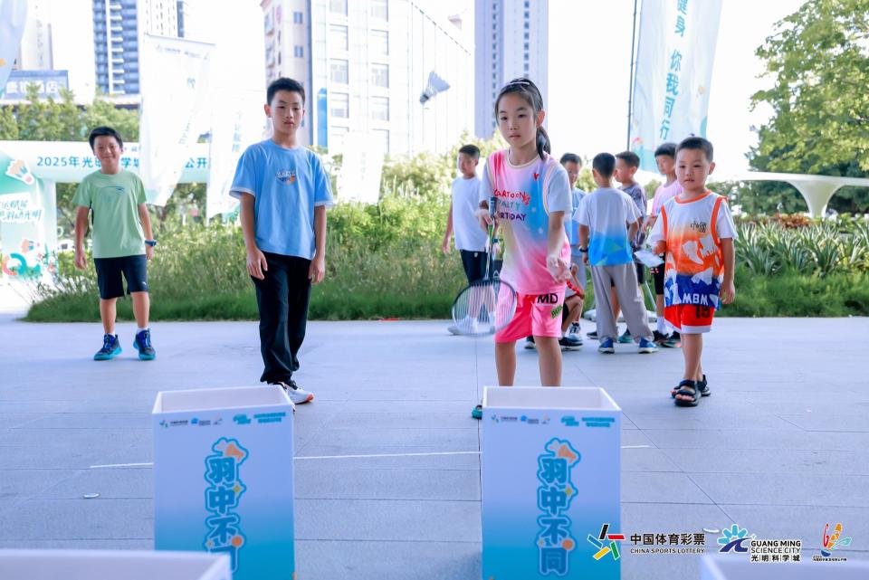 科学城羽毛, 个人技艺轮, 表示 科学城羽毛, 个人技艺轮, 表示